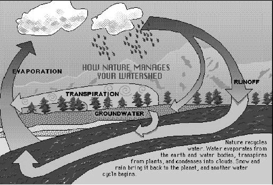 Water Cycle